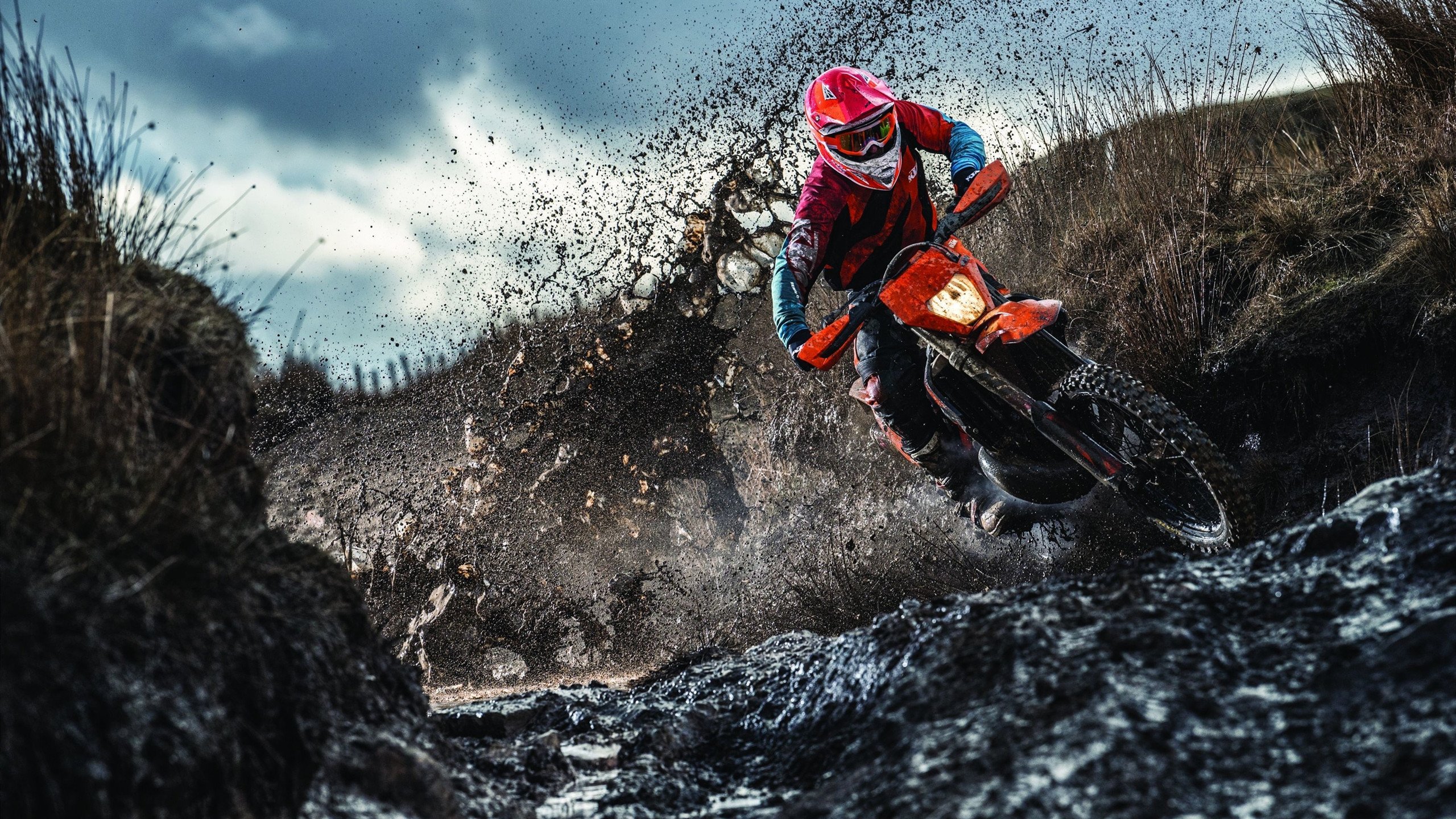 米切尔强势爆发，活塞淘汰赛力克森林狼，证明巨星价值